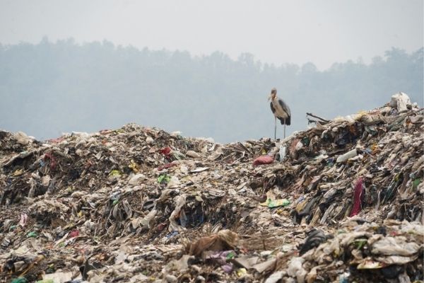 Guwahati: GMC Starts Relocating Dumping Ground From Boragaon To Chandrapur