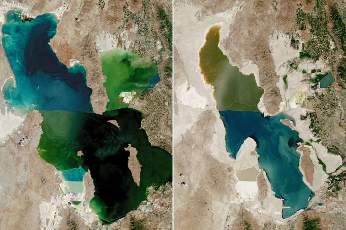 Lakes Around The Globe Are Shrinking Rapidly Amid Climate Change Threats