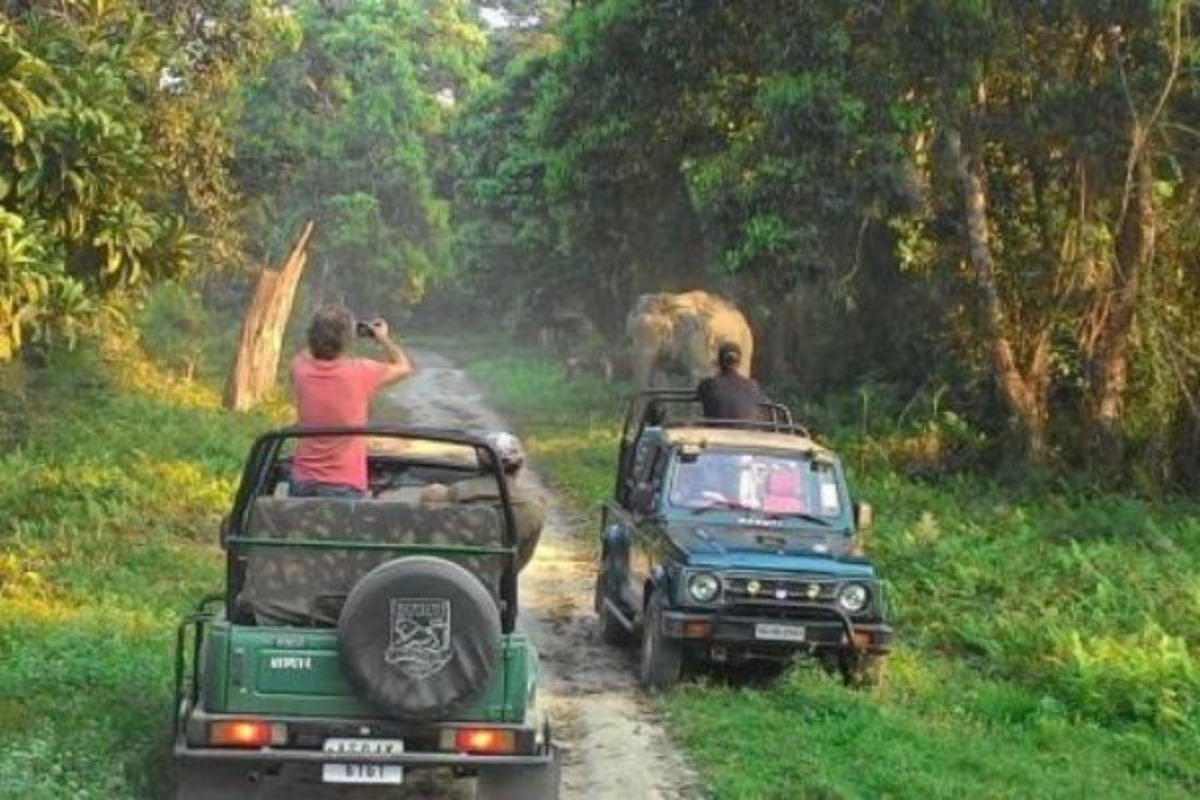 Assam: Jeep Safari In Kaziranga National Park Extended Till May 31