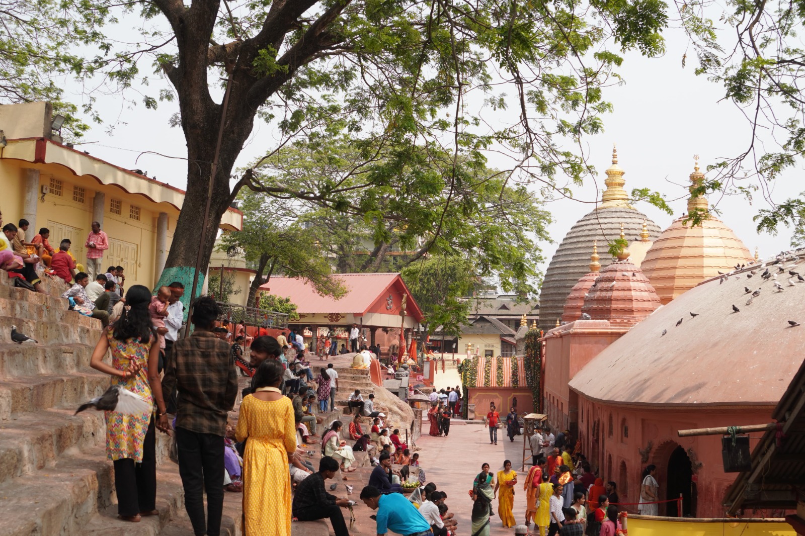 Kamakhya.
