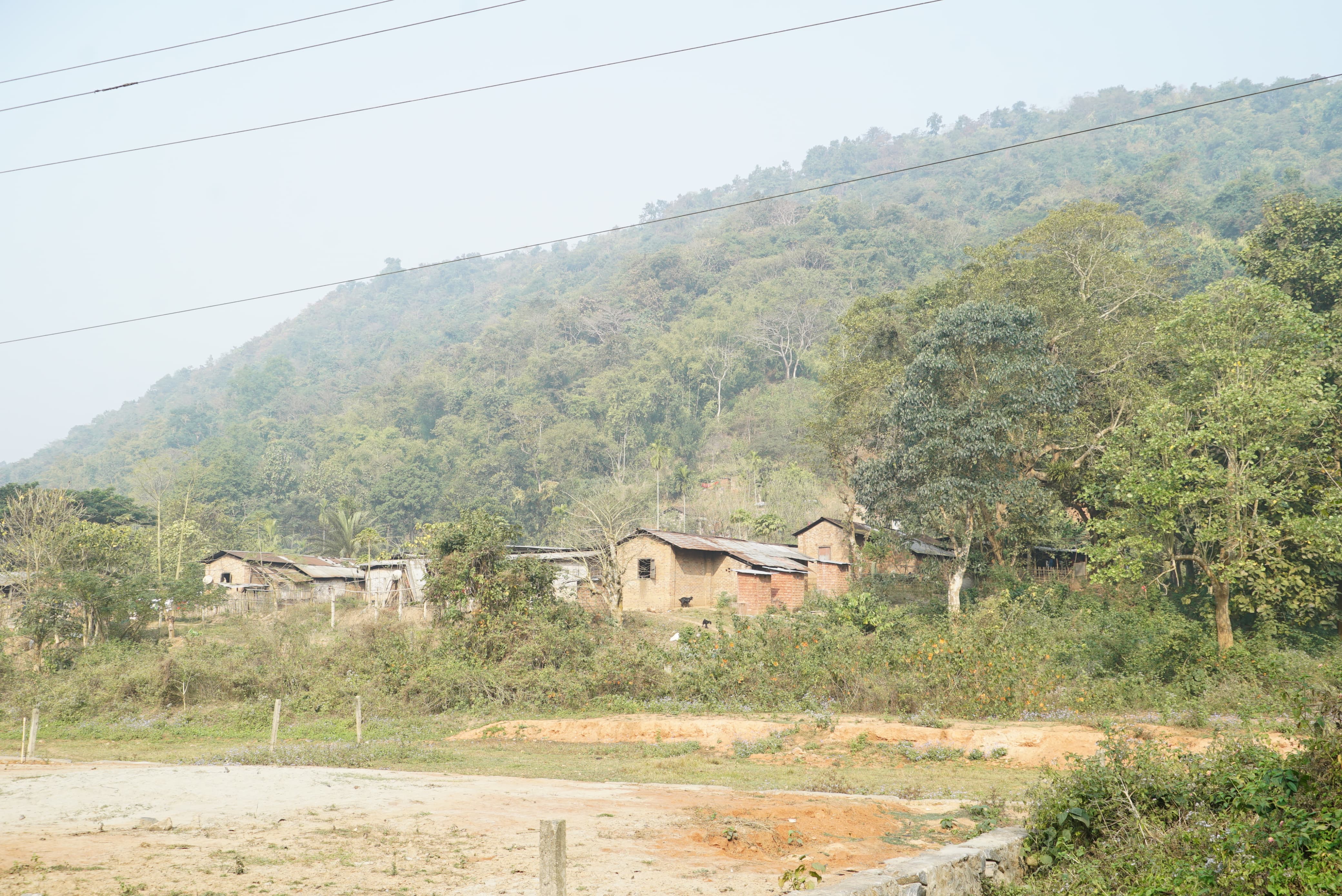 The Amsing Reserve Forest.