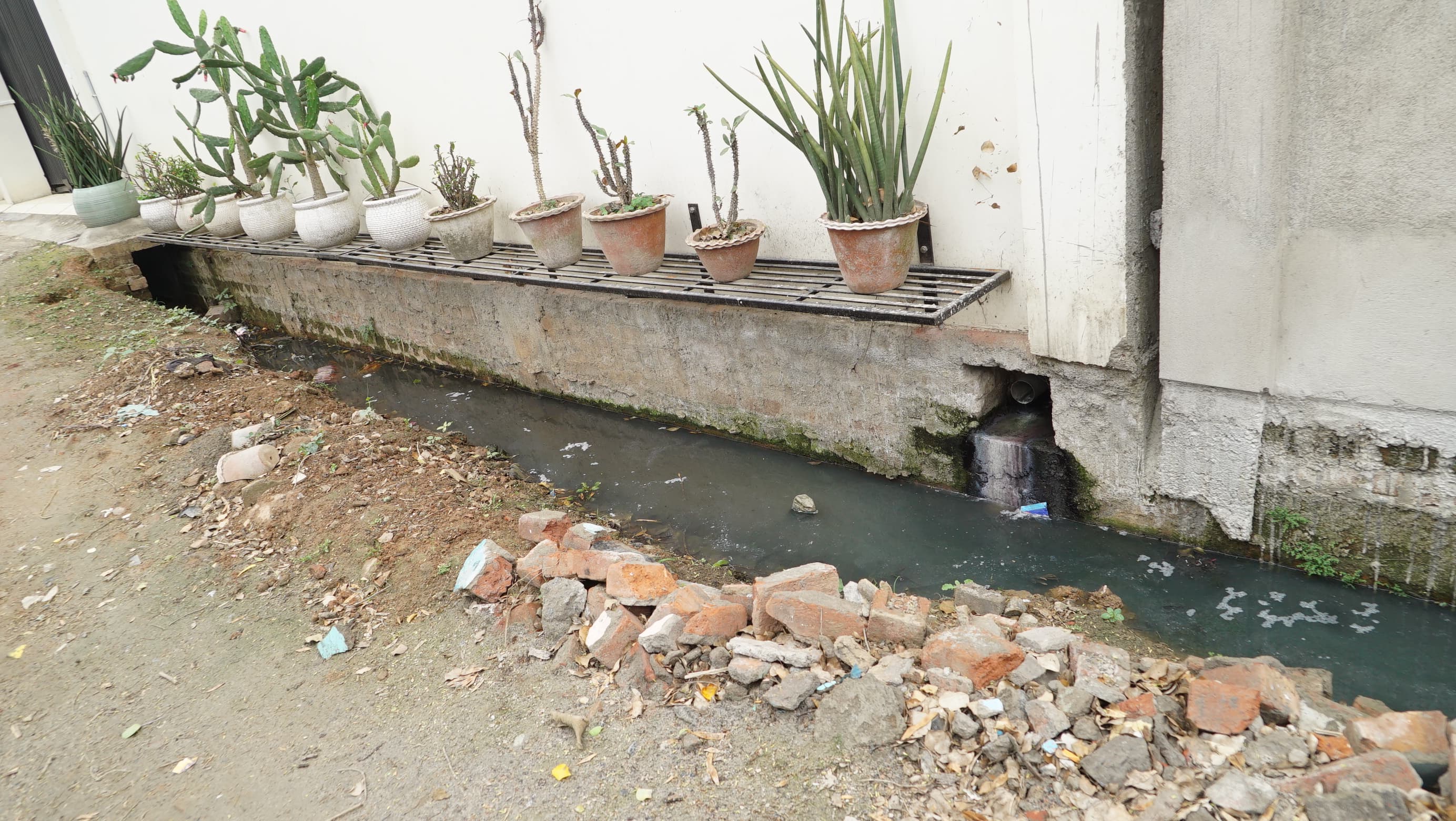 Uncleaned drain in Ward 43.