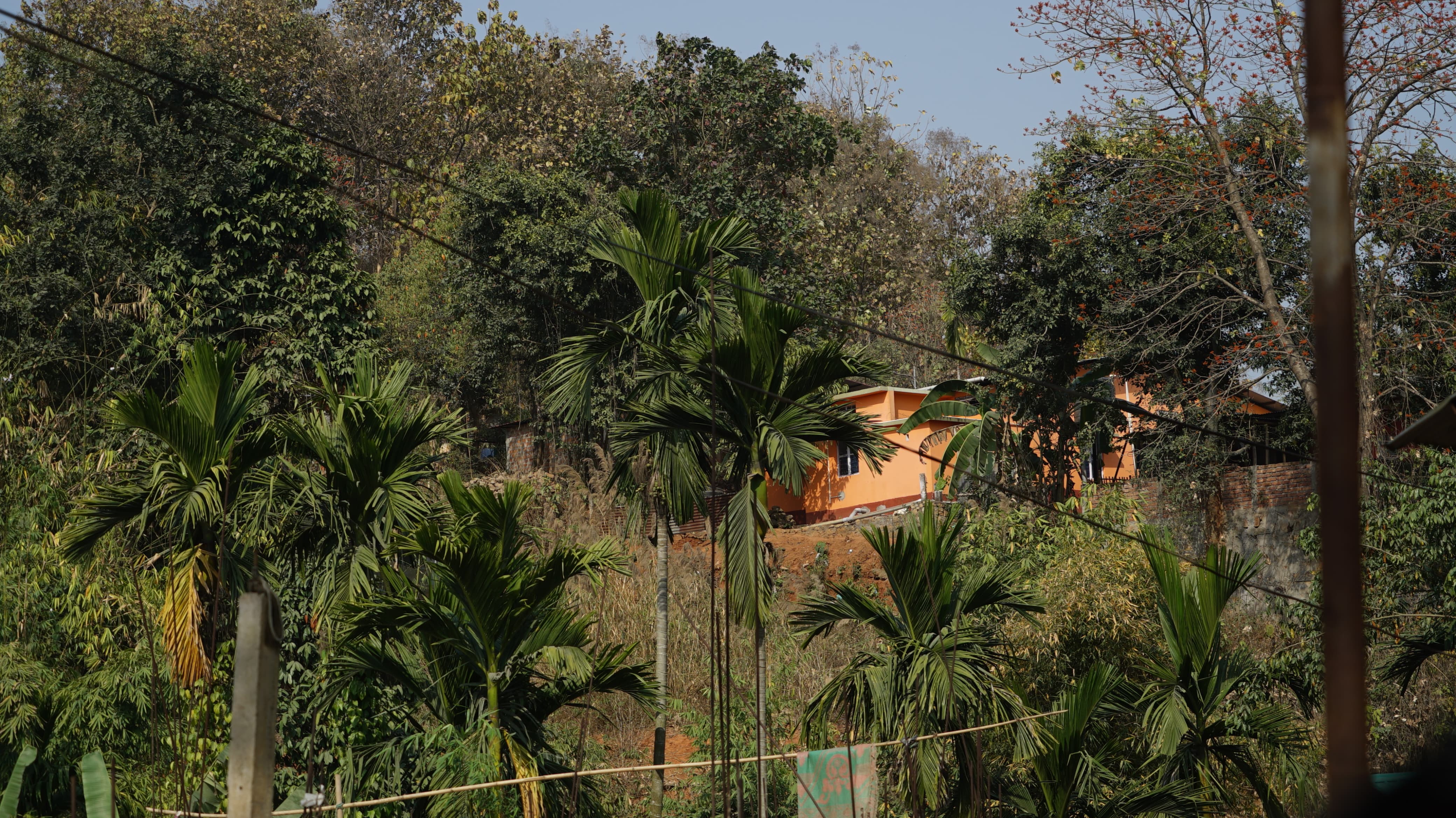 Encroachment of forest land in Guwahati.